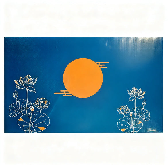 Tapis de chaleur électrique – Tapis de moxibustion Modèle AJT