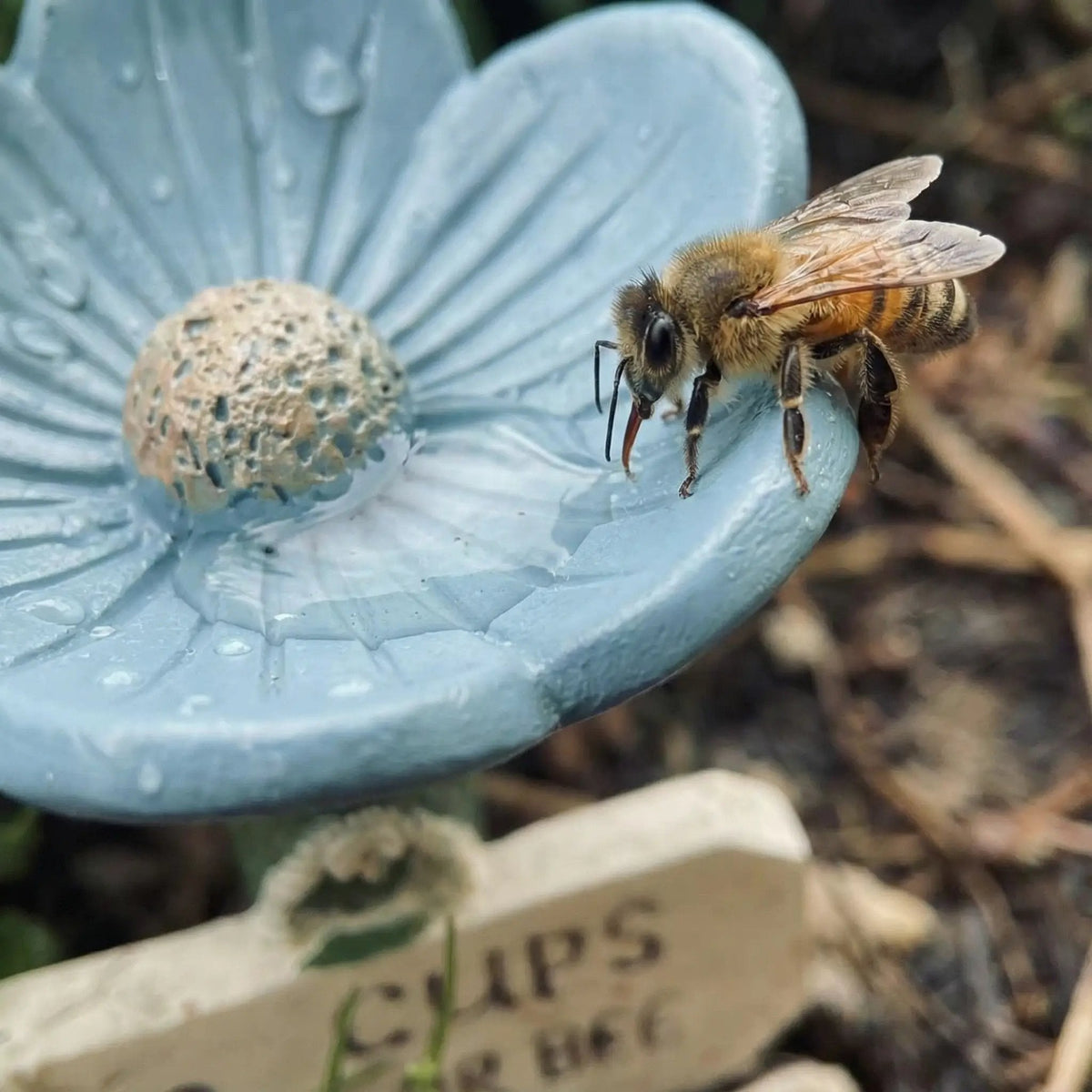 EcoFlow™ Pollinator Oasis — Regardez Votre Jardin Éclore de Vie, de Couleur, et de Visiteurs Bourdonnants Chaque Jour