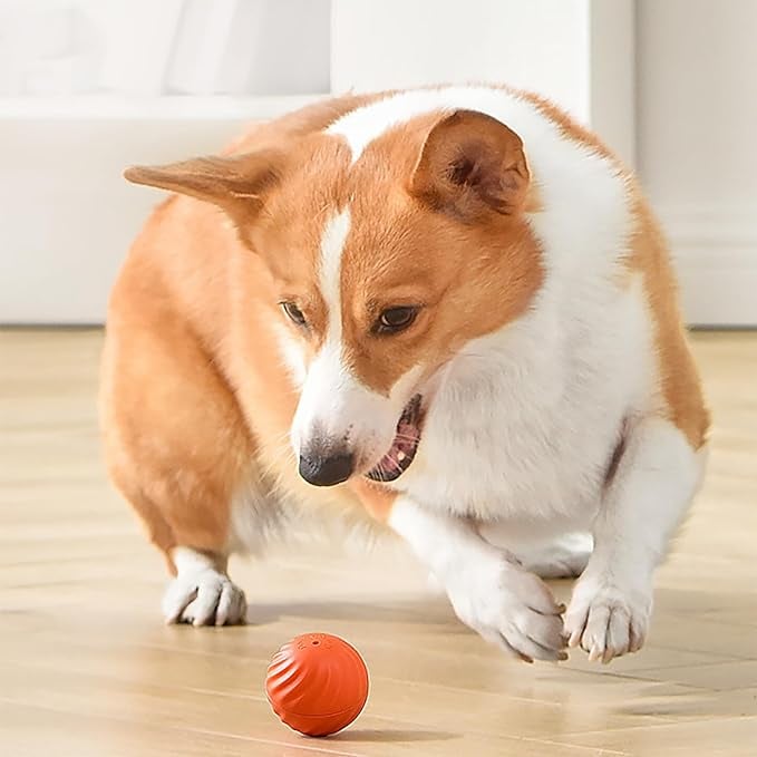 BarkBounce - Balle Interactive pour Chien