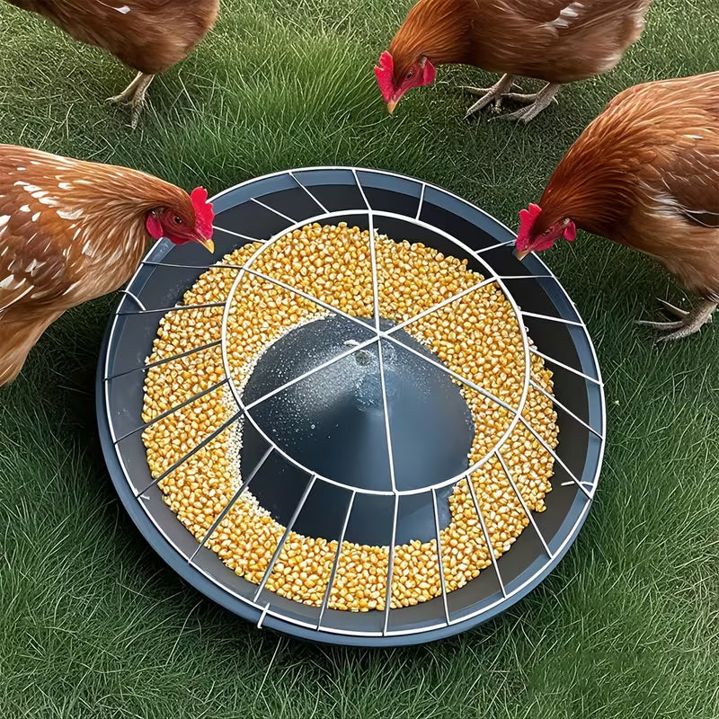 AviFeast™ — Apportez la paix, l'ordre et l'abondance à chaque repas d'oiseau