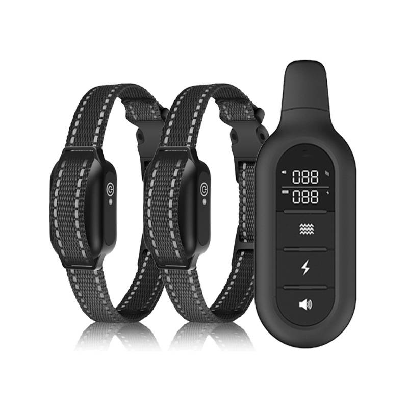 ProTrain – Collier de dressage pour chien rechargeable et étanche