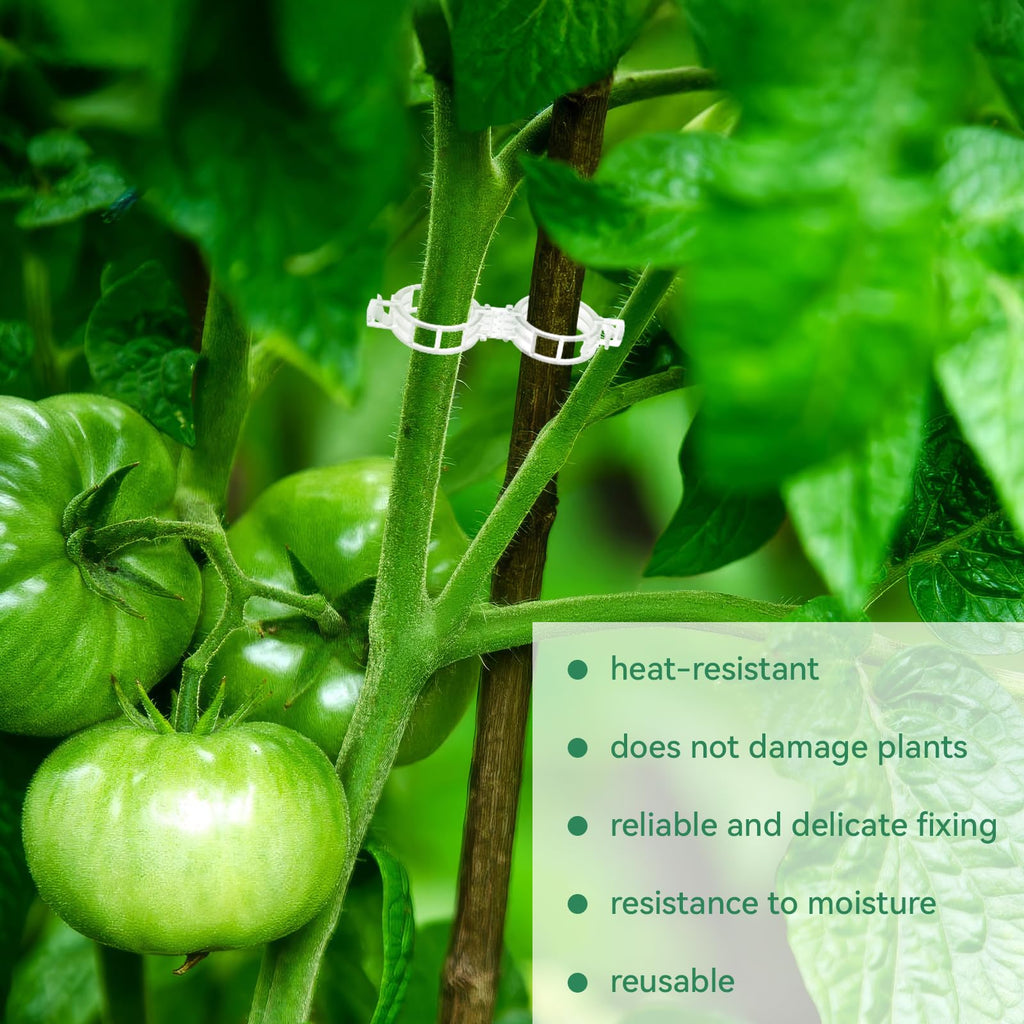 Pince à Tomate, Pince de Treillis en Plastique