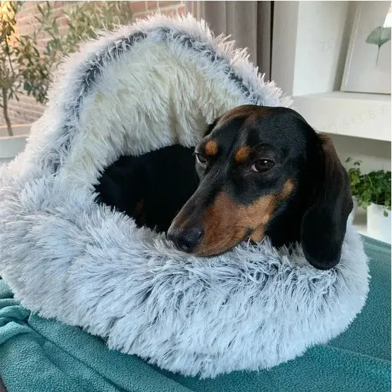 PawNest - Lit de sommeil pour animaux de compagnie Deluxe