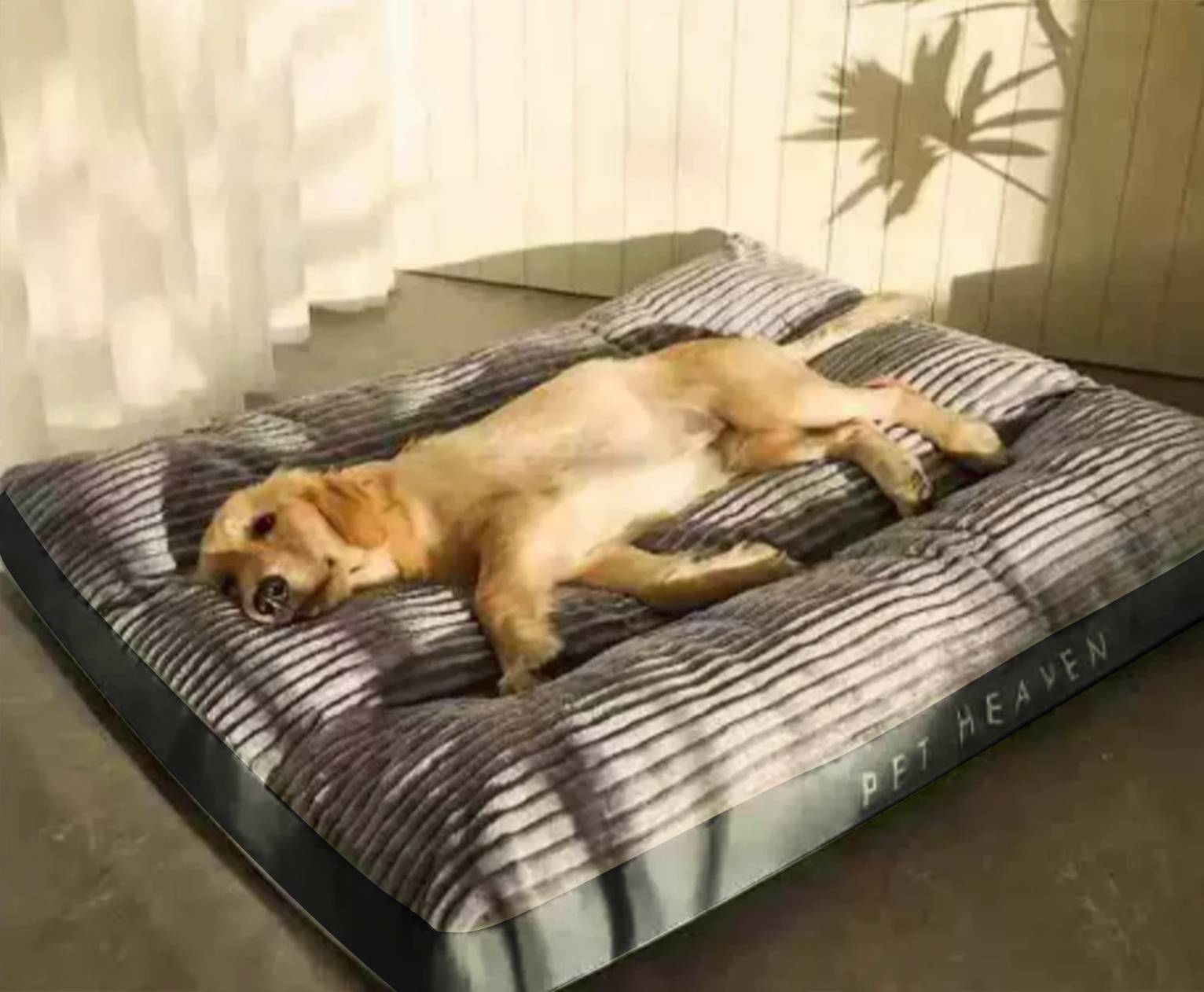 FlauschNest Lit pour Chien Orthopédique – Douillet & Soutenant pour des Nuits Reposantes