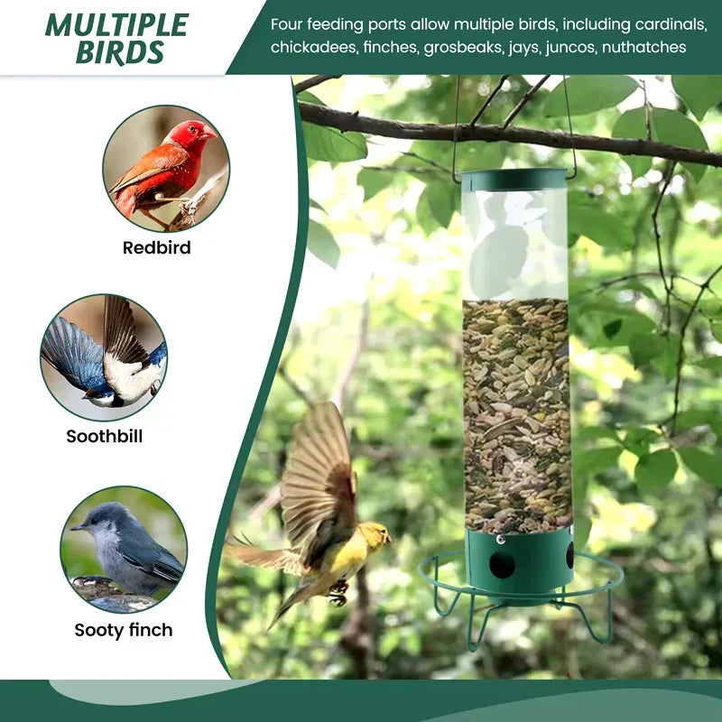 Mangeoire à Oiseaux Résistante aux Écureuils - Design Métallique