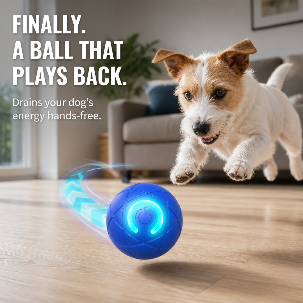DashRoll™ — Épuisez l'énergie de votre chien pendant que vous travaillez, les mains libres