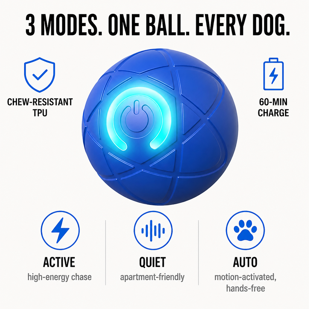 DashRoll™ — Épuisez l'énergie de votre chien pendant que vous travaillez, les mains libres