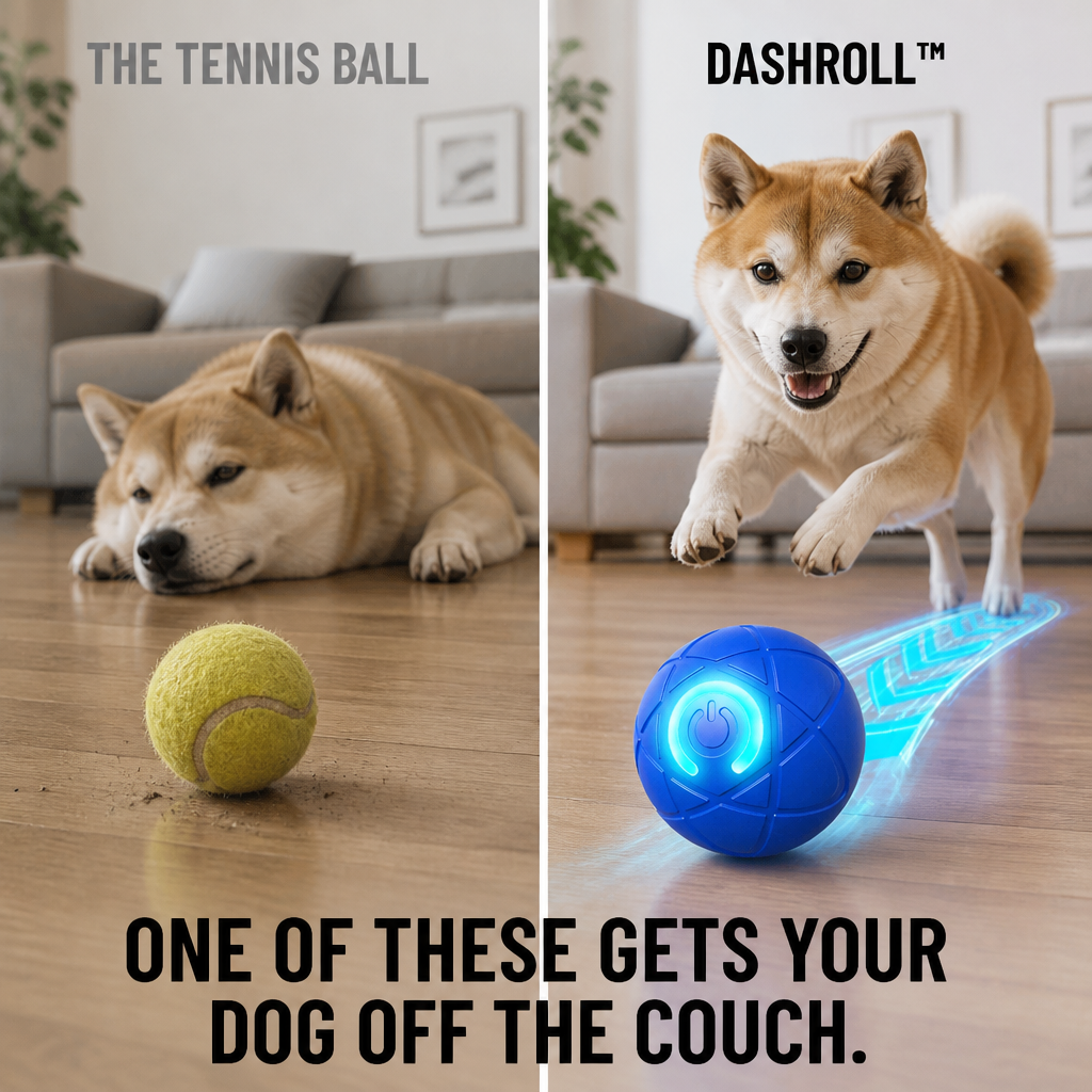 DashRoll™ — Épuisez l'énergie de votre chien pendant que vous travaillez, les mains libres