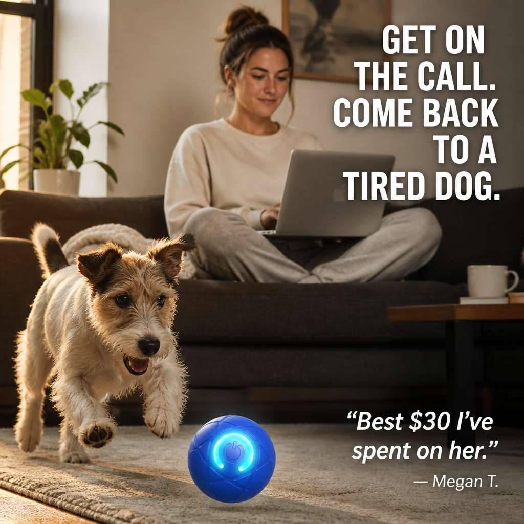 DashRoll™ — Épuisez l'énergie de votre chien pendant que vous travaillez, les mains libres
