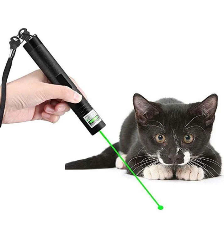 Pointeur Laser Portable Haute Intensité pour Présentations et Activités Extérieures
