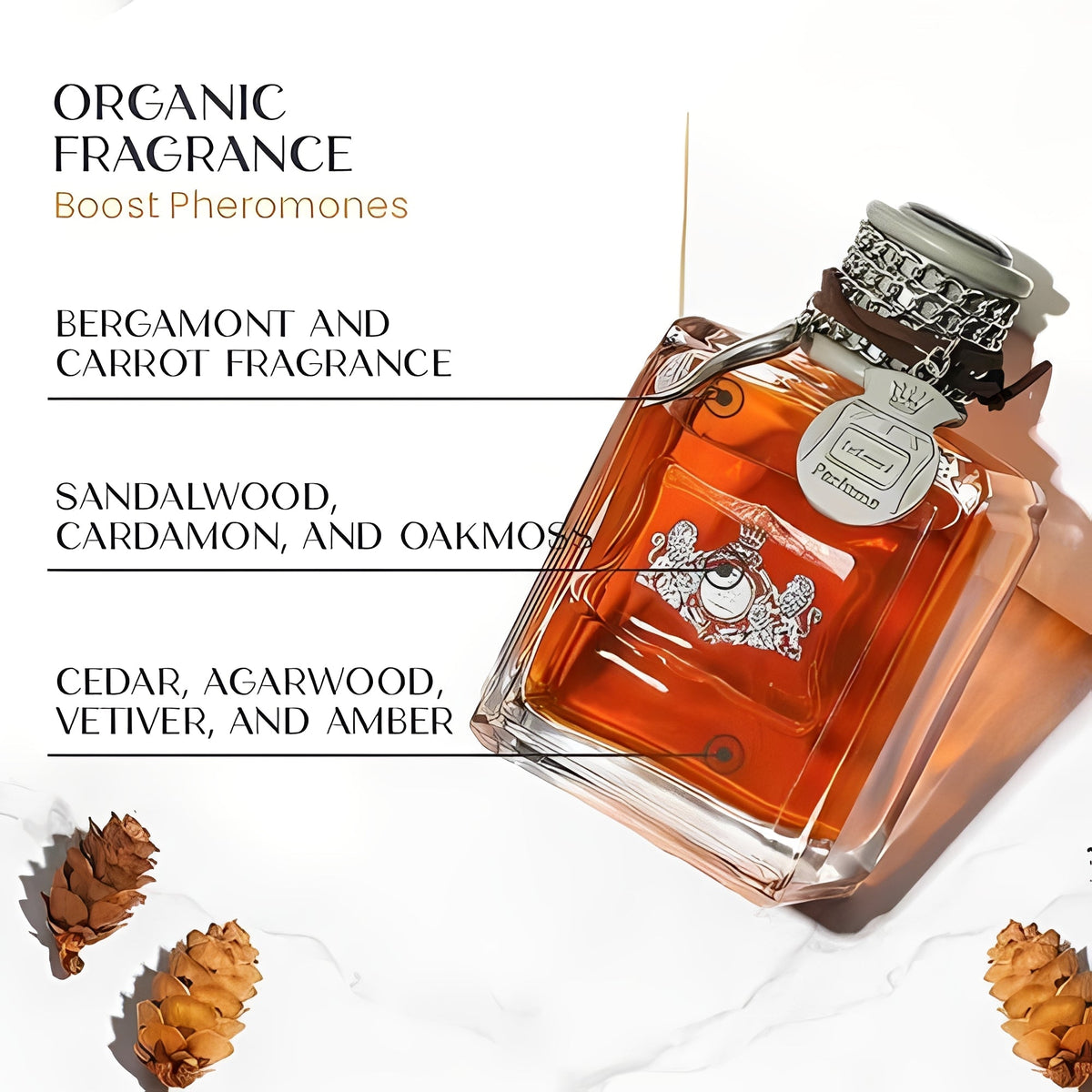 Parfum Quotidien pour Hommes avec Mélange de Phéromones