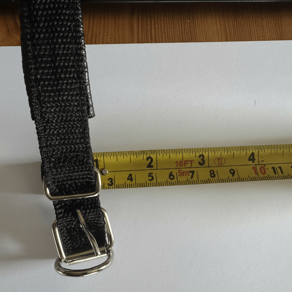 Traceur GPS pour chats – Localisation en temps réel sans abonnement