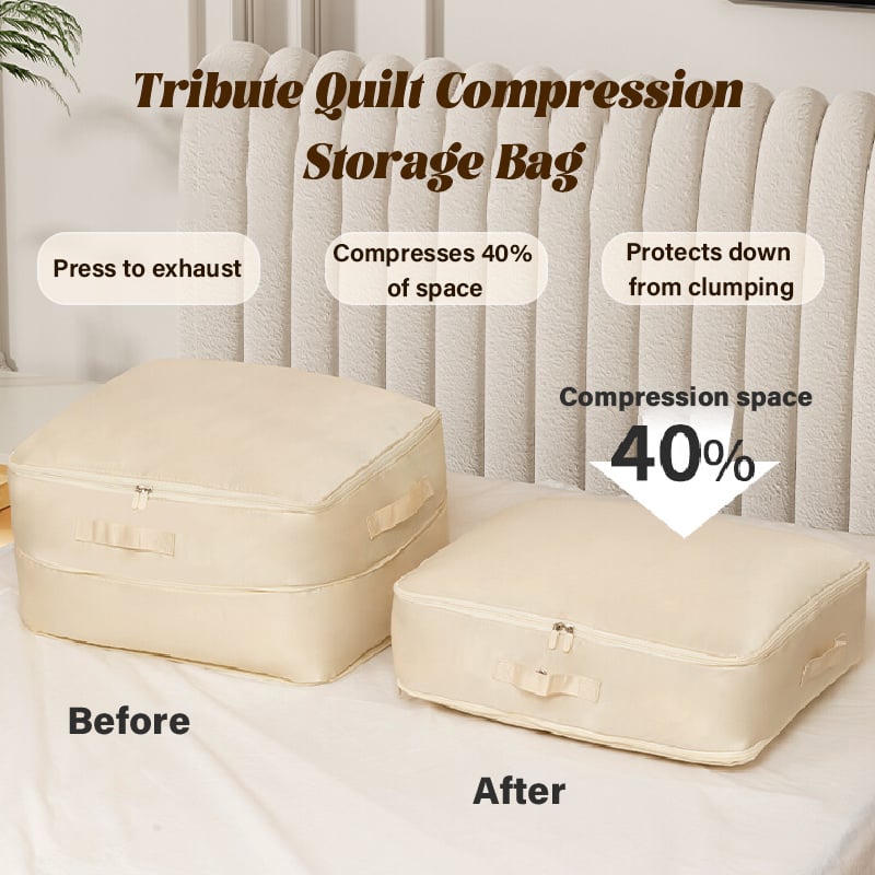 (2+1 GRATUIT) Organisateur de Compression SpaceSaver
