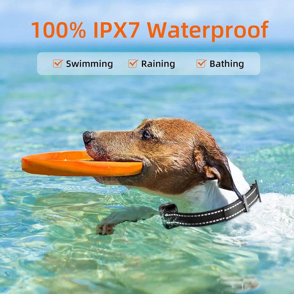 Collier Éducatif pour Chien Étanche et Rechargeable 1000m