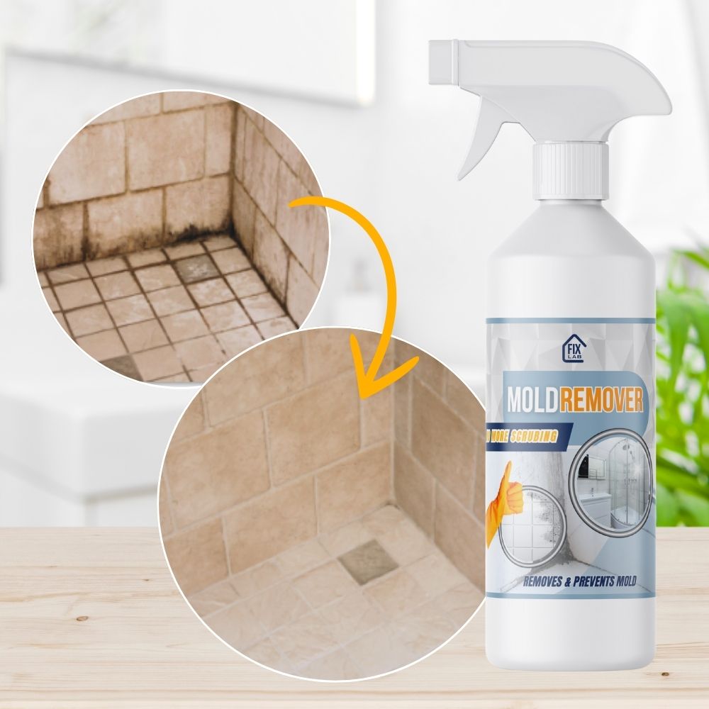 MoldDefy™ — Éliminez rapidement la moisissure et gardez votre maison fraîche, sûre et accueillante