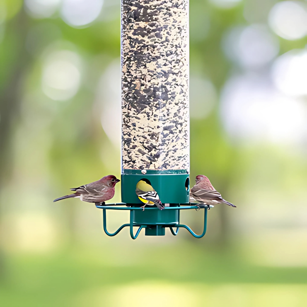 Nourrisseur à Oiseaux Anti-Écureuils pour l'Extérieur avec Perchoir Rotatif