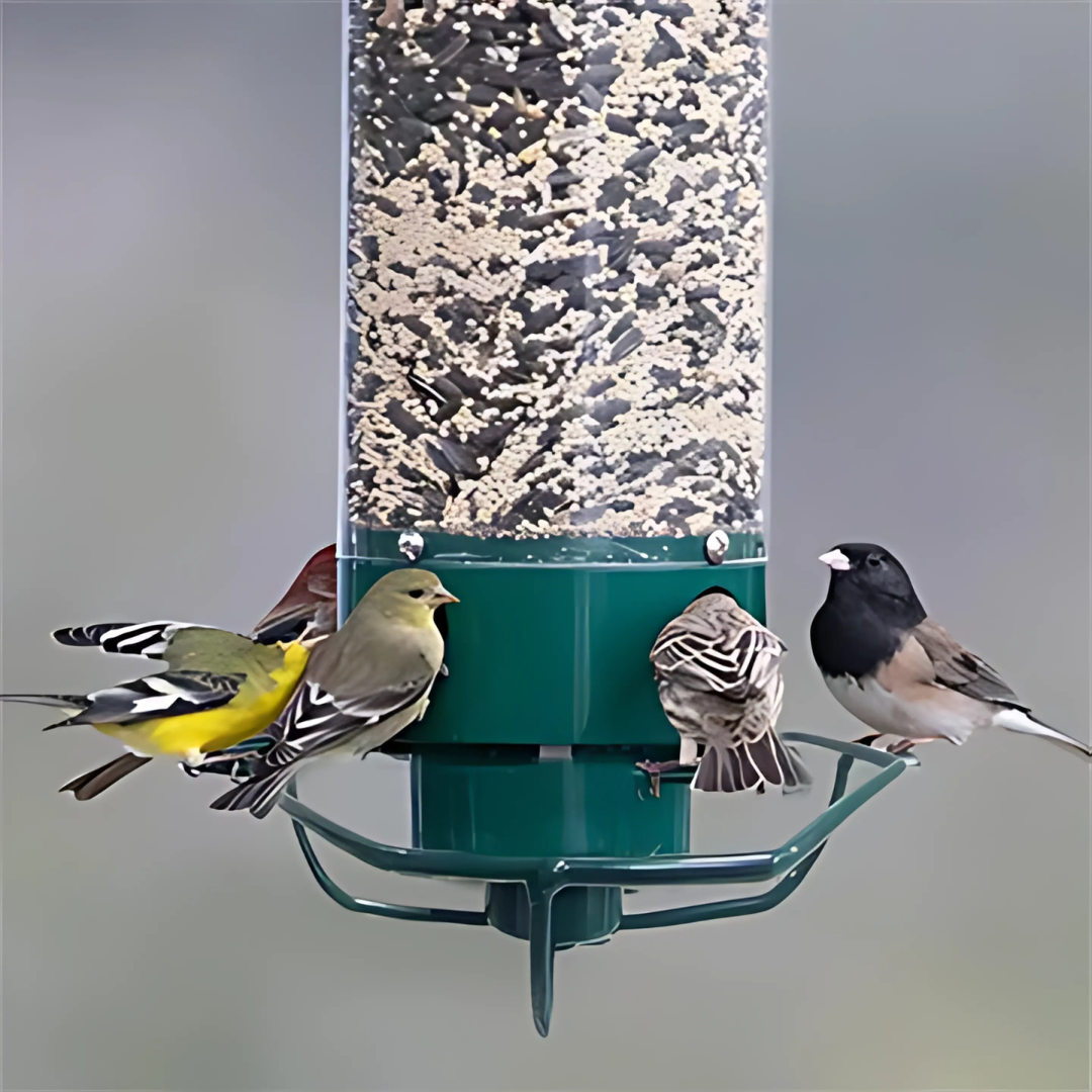 Nourrisseur à Oiseaux Anti-Écureuils pour l'Extérieur avec Perchoir Rotatif