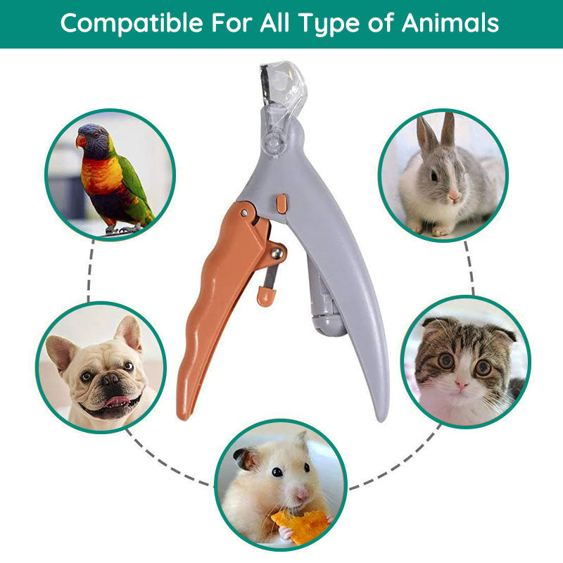 Coupe-ongles pour animaux avec lumière LED et capteur de protection