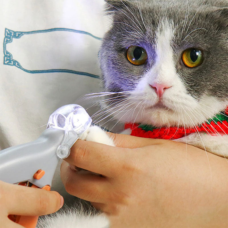 Coupe-ongles pour animaux avec lumière LED et capteur de protection