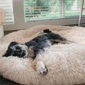 Lit pour chien en forme de donut moelleux et apaisant pour tous les chiens