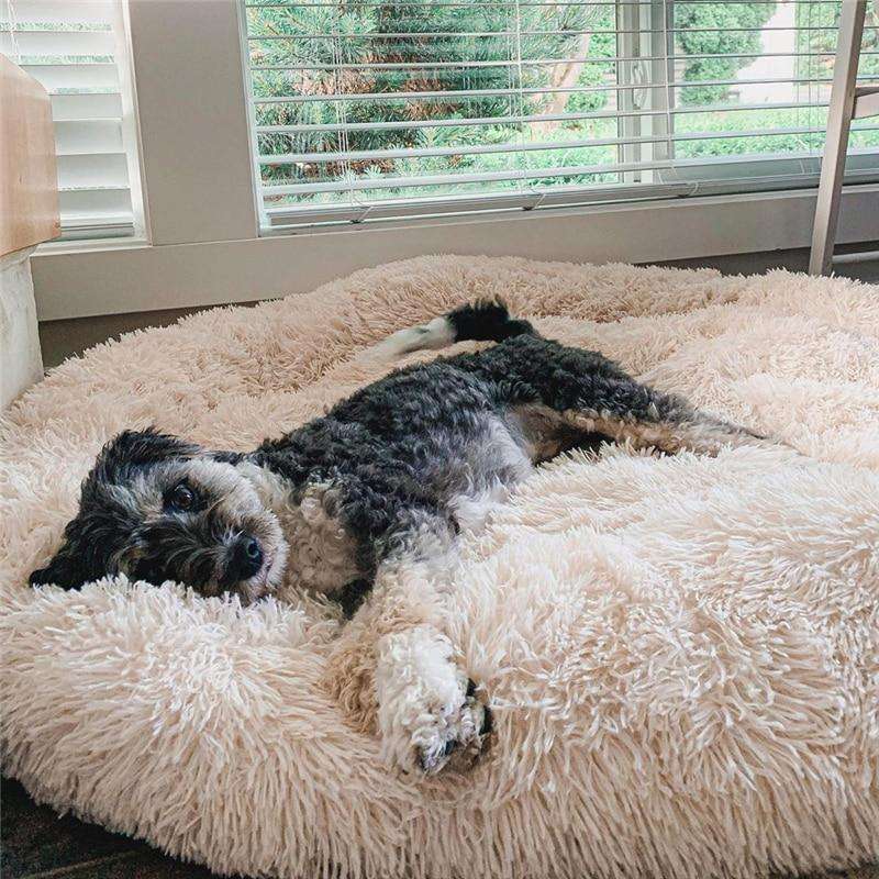 Lit pour chien en forme de donut moelleux et apaisant pour tous les chiens