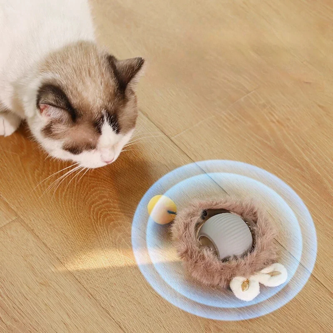 KittyTwirl™ | Balle de jeu interactive avec queue pour chats
