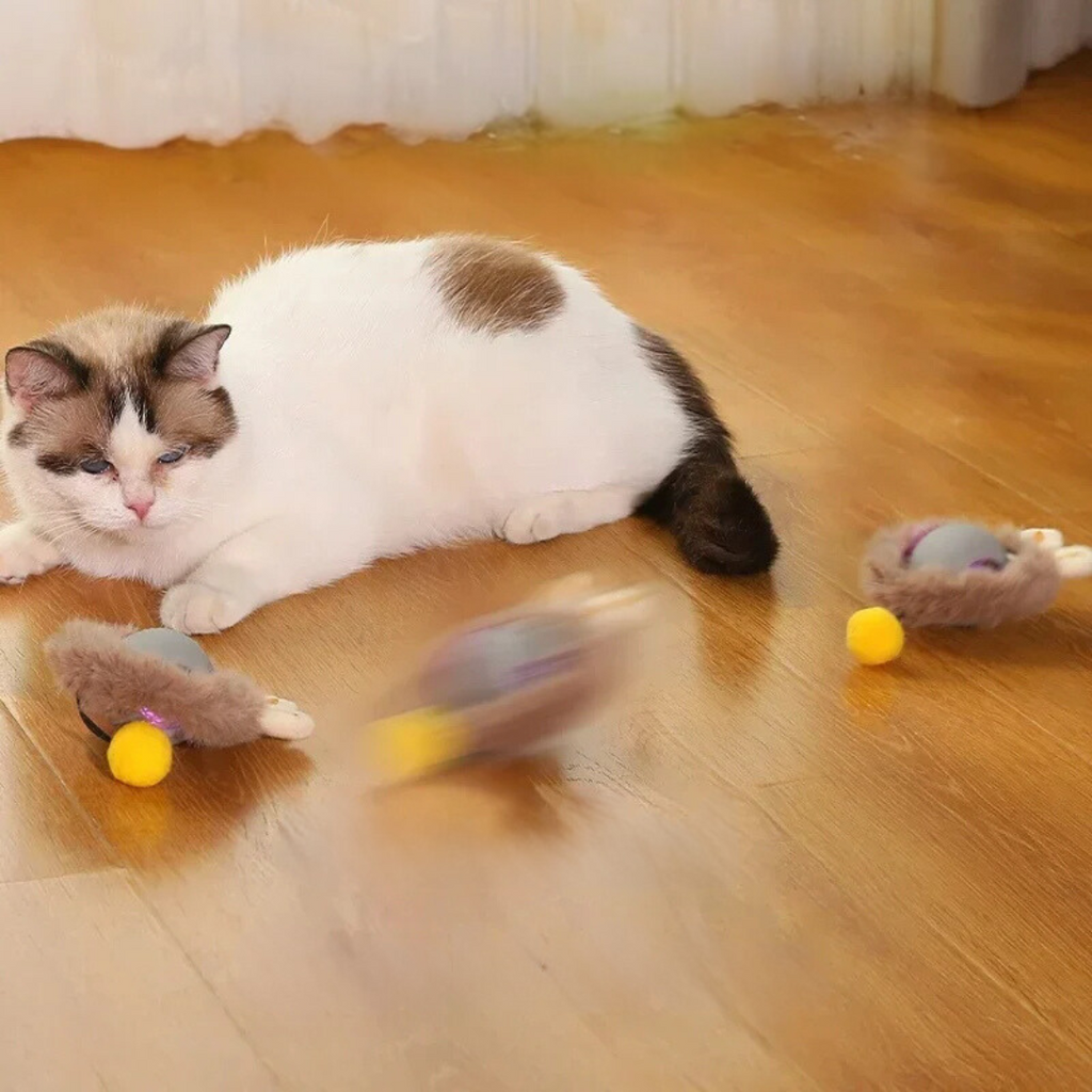 KittyTwirl™ | Balle de jeu interactive avec queue pour chats