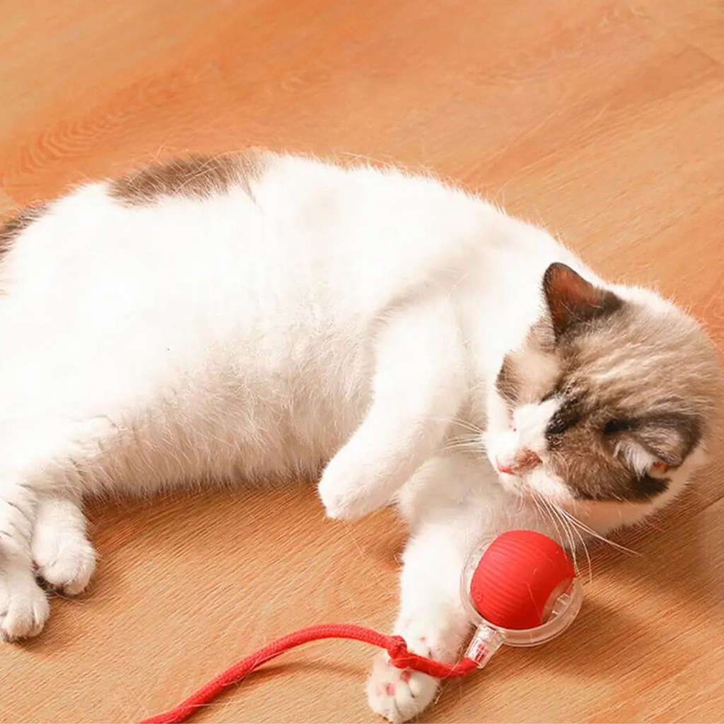 KittyTwirl™ | Balle de jeu interactive avec queue pour chats