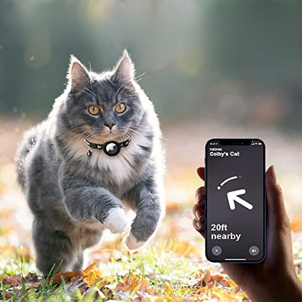 Collier GPS pour chat avec design réfléchissant