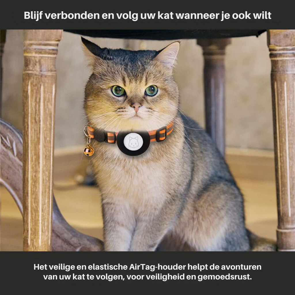 Collier de sécurité réfléchissant pour chat avec support de traceur GPS