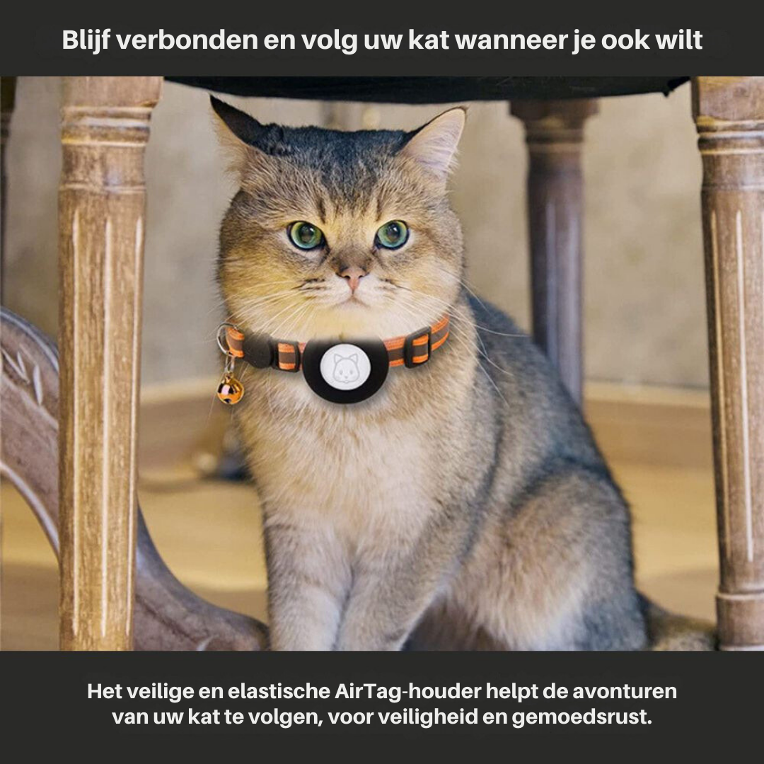 Collier de sécurité réfléchissant pour chat avec support de traceur GPS