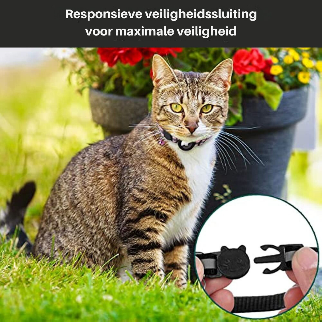 Collier de sécurité réfléchissant pour chat avec support de traceur GPS