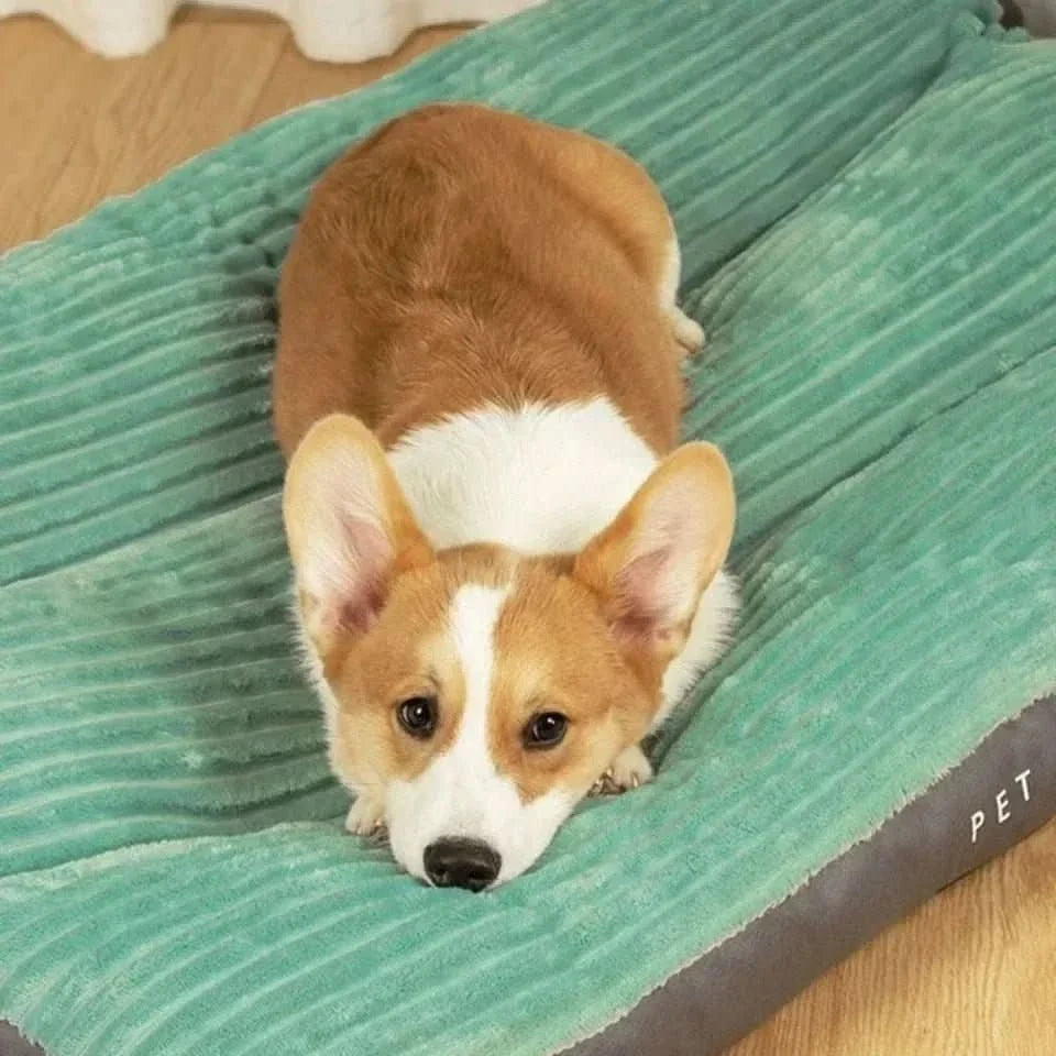 FlauschNest Lit Orthopédique pour Chien – Douillet & Soutenant pour des Nuits Réparatrices