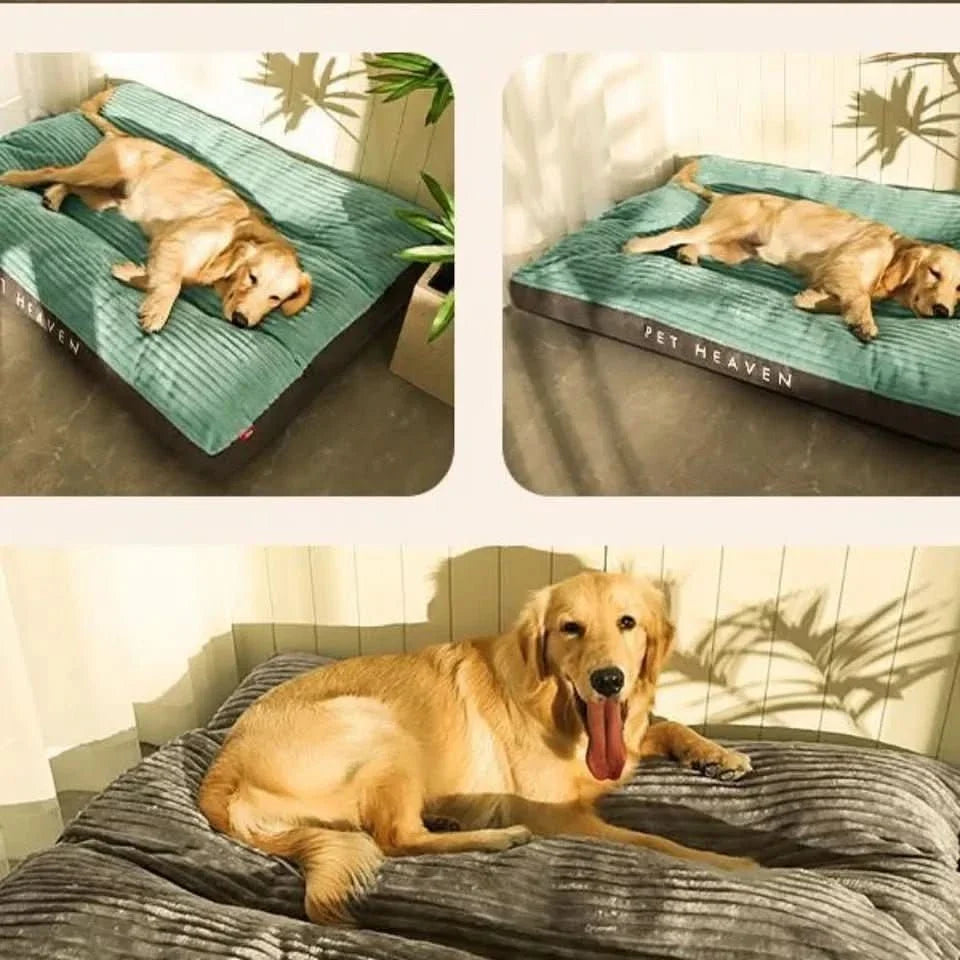 FlauschNest Lit Orthopédique pour Chien – Douillet & Soutenant pour des Nuits Réparatrices