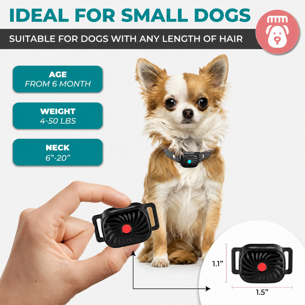 Collier Anti Aboiement pour Petits Chiens avec Modes de Dressage Réglables