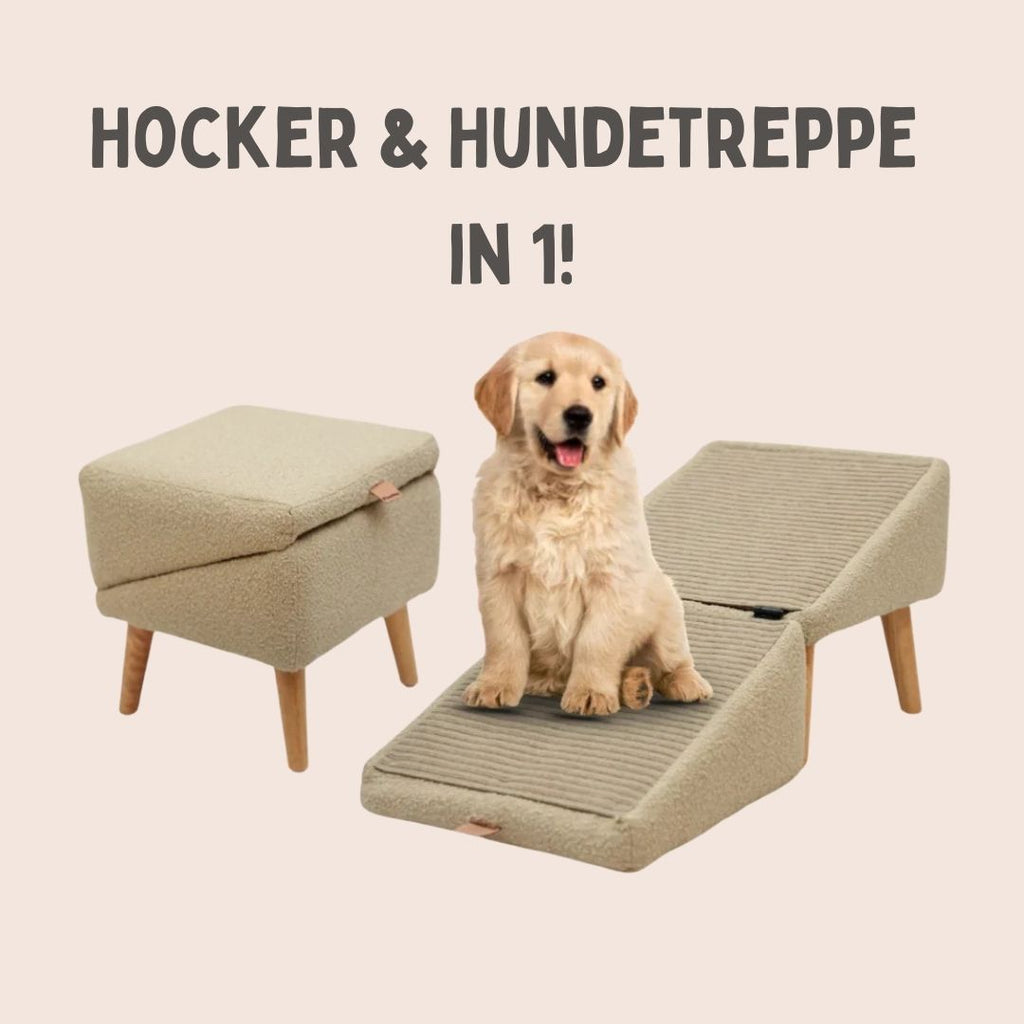 Rampe et Tabouret PetStep pour Lits et Canapés | Accès Facile pour Animaux