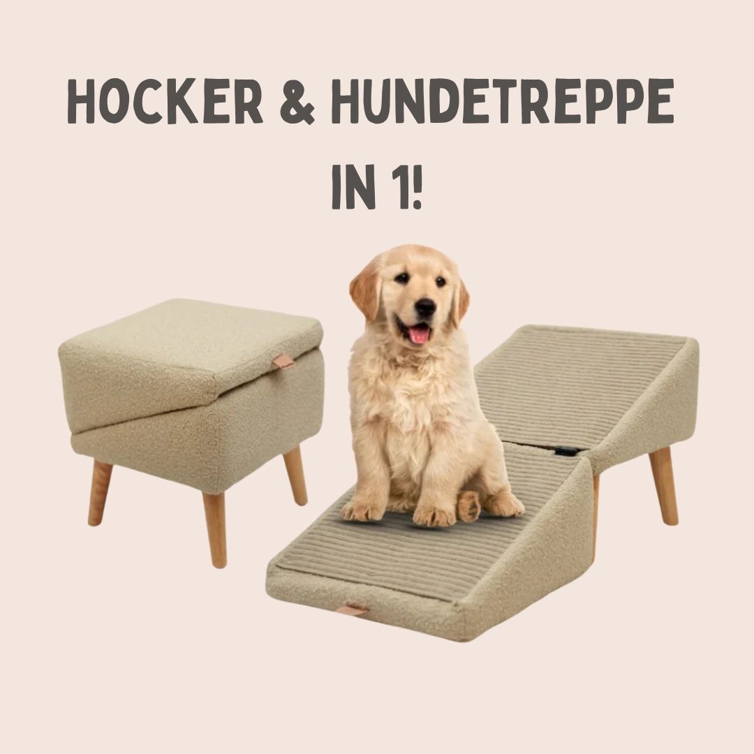 Rampe et Tabouret PetStep pour Lits et Canapés | Accès Facile pour Animaux