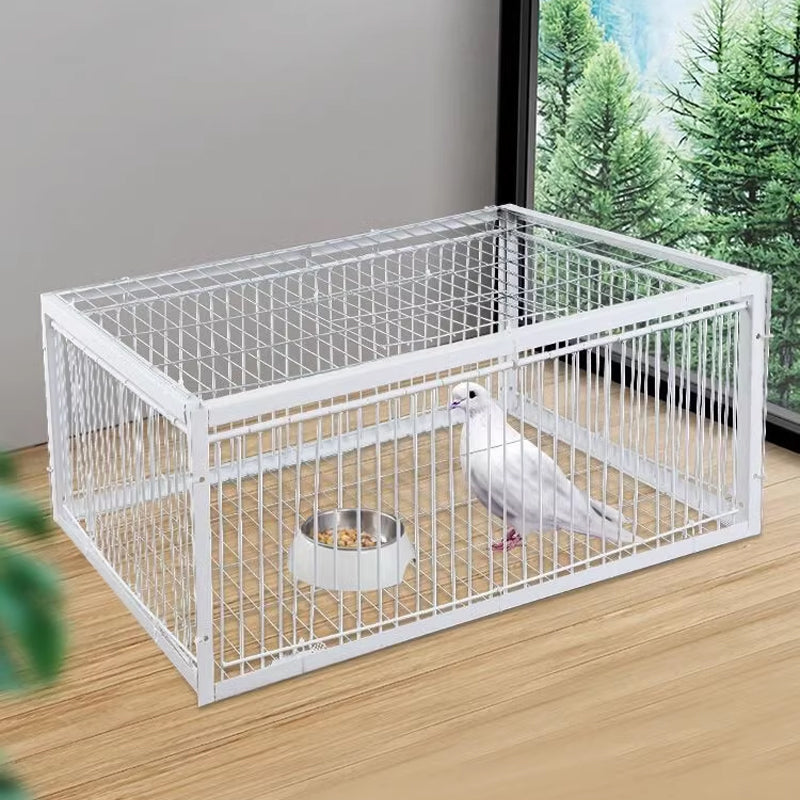 Piège à Oiseaux Doux avec Mécanisme Anti-Retour – Piège BirdSafe