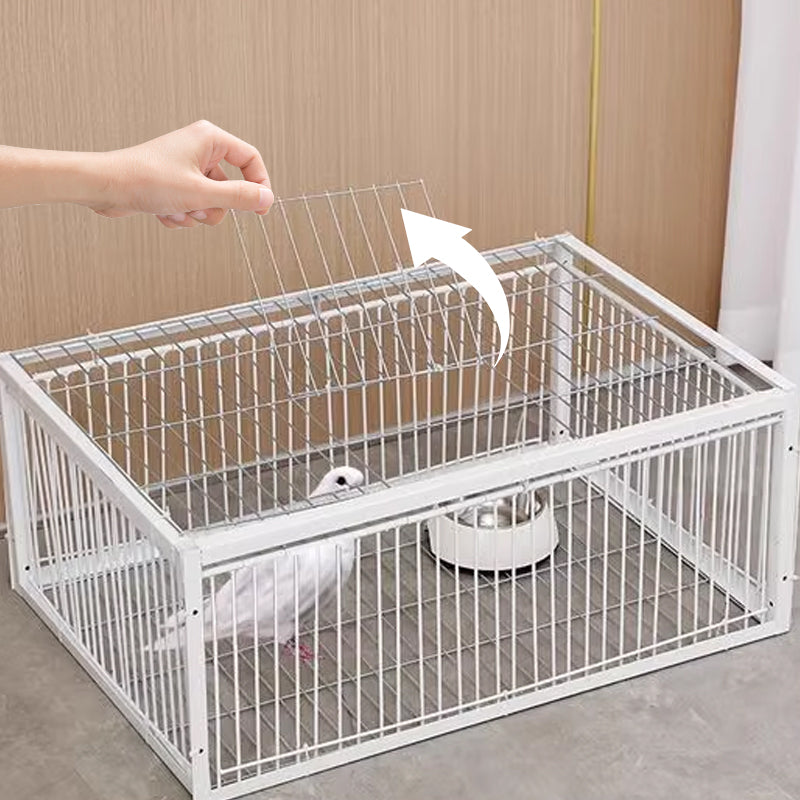 Piège à Oiseaux Doux avec Mécanisme Anti-Retour – Piège BirdSafe