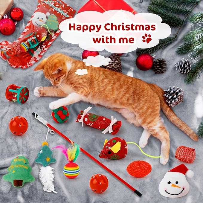 Pawfect | Calendrier de l'Avent 2025 pour Chats et Chiens