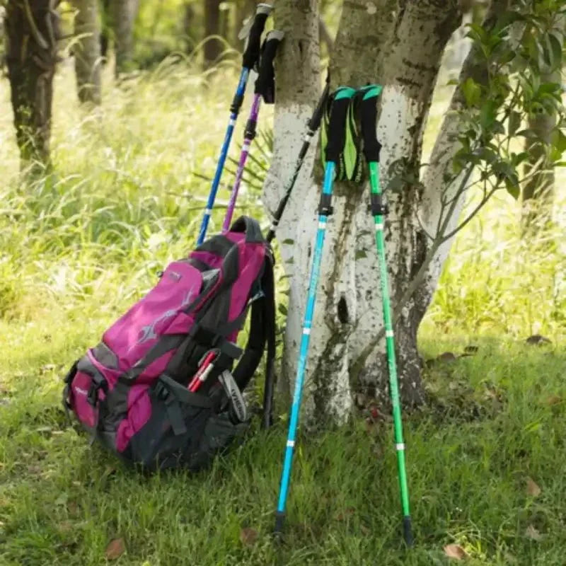 Bâton de Trekking Unisexe Pliable en Aluminium pour la Randonnée