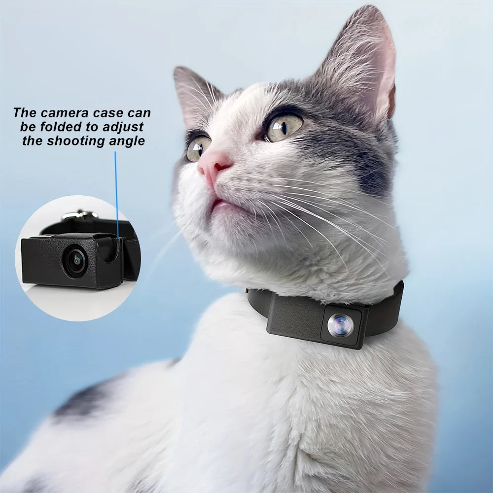 Caméra de Collier HD Unisexe pour Chiens et Chats – Capturez Leur Monde
