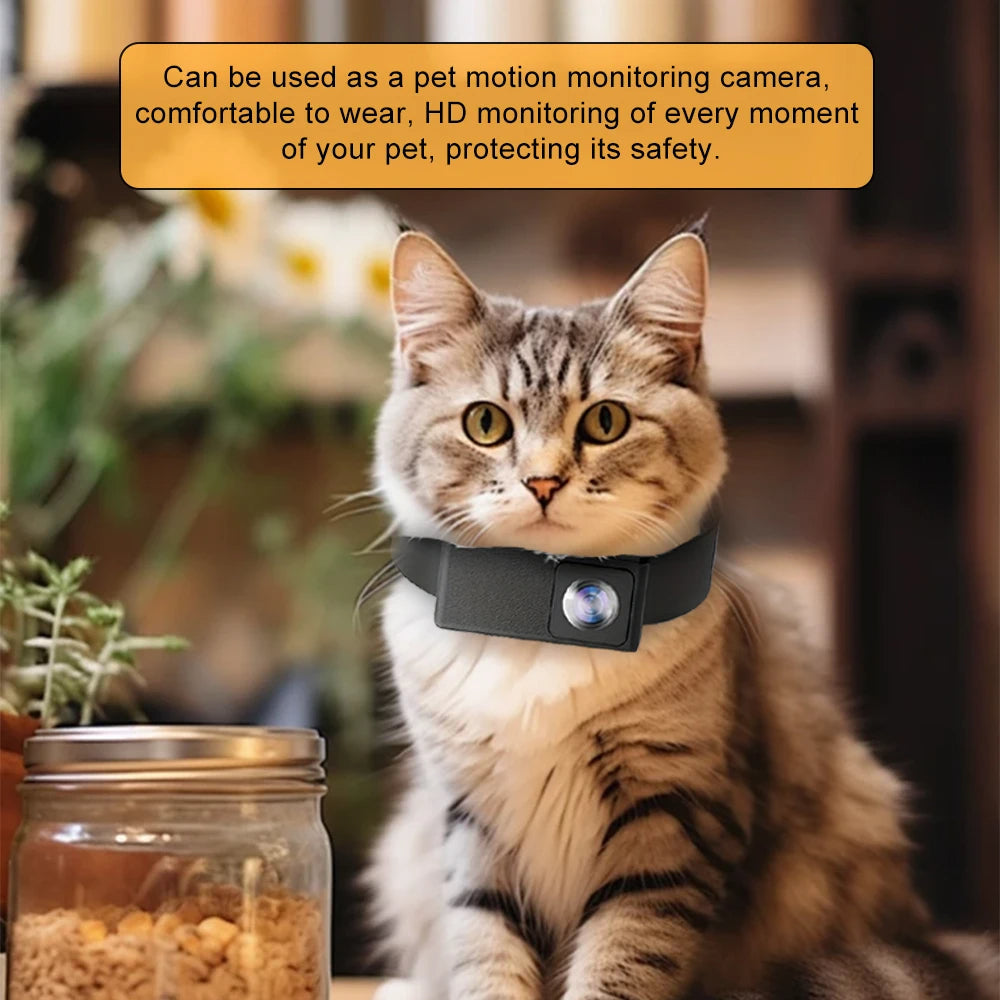 Caméra de Collier HD Unisexe pour Chiens et Chats – Capturez Leur Monde