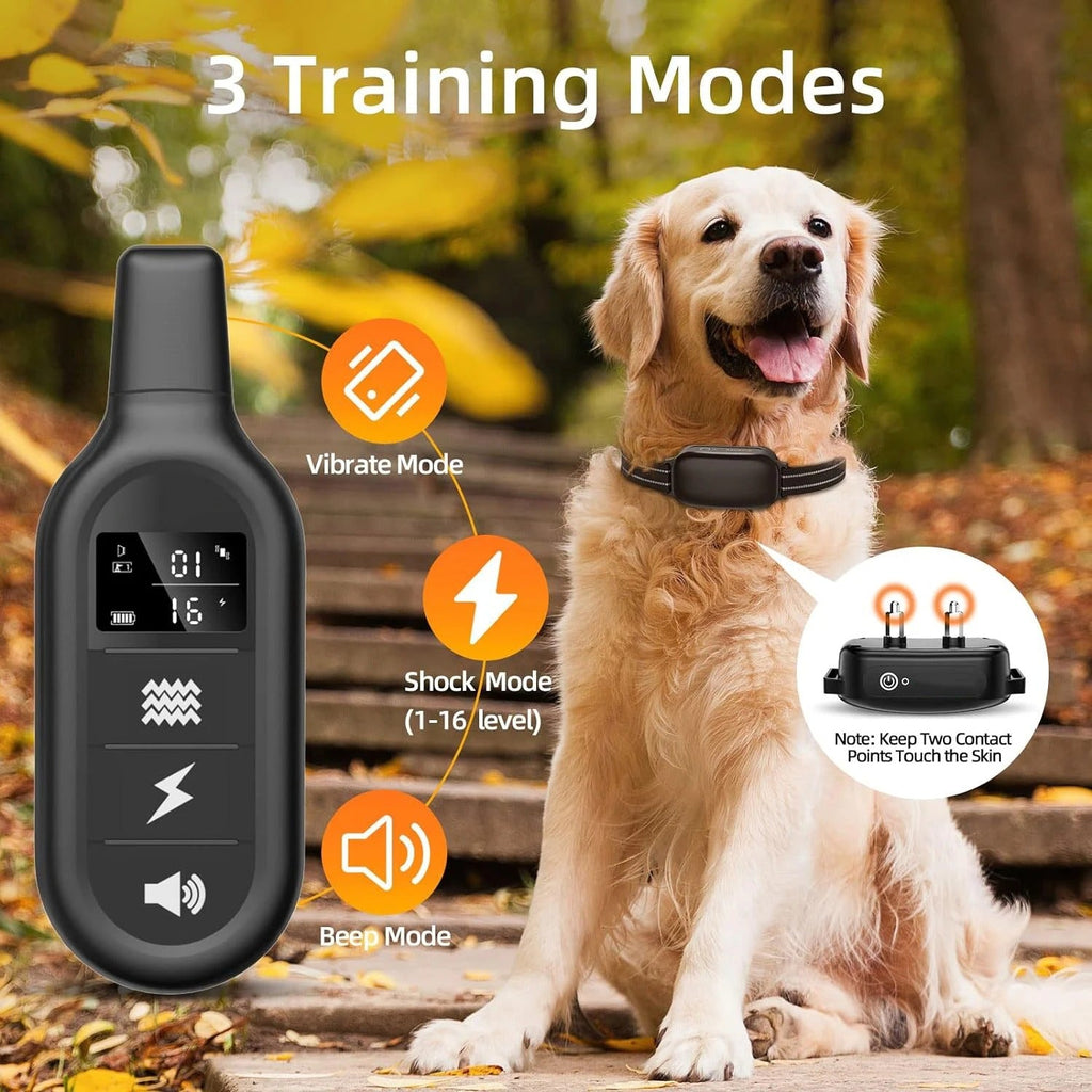 Collier de Dressage Unisexe pour Chien - Collier Électrique Étanche et Rechargeable