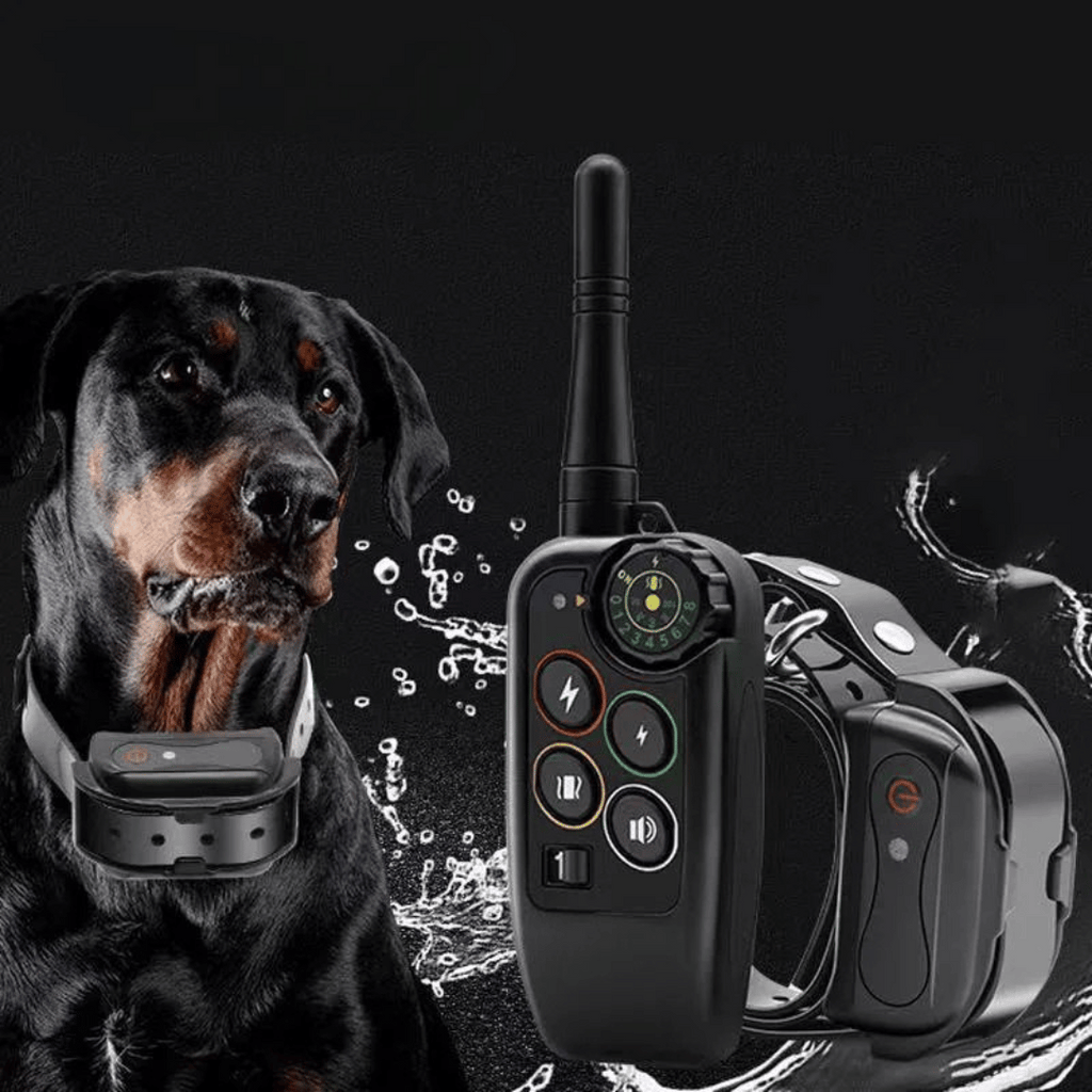 Collier Électronique pour Dressage de Chiens Imperméable à Longue Distance 1000m & Télécommande