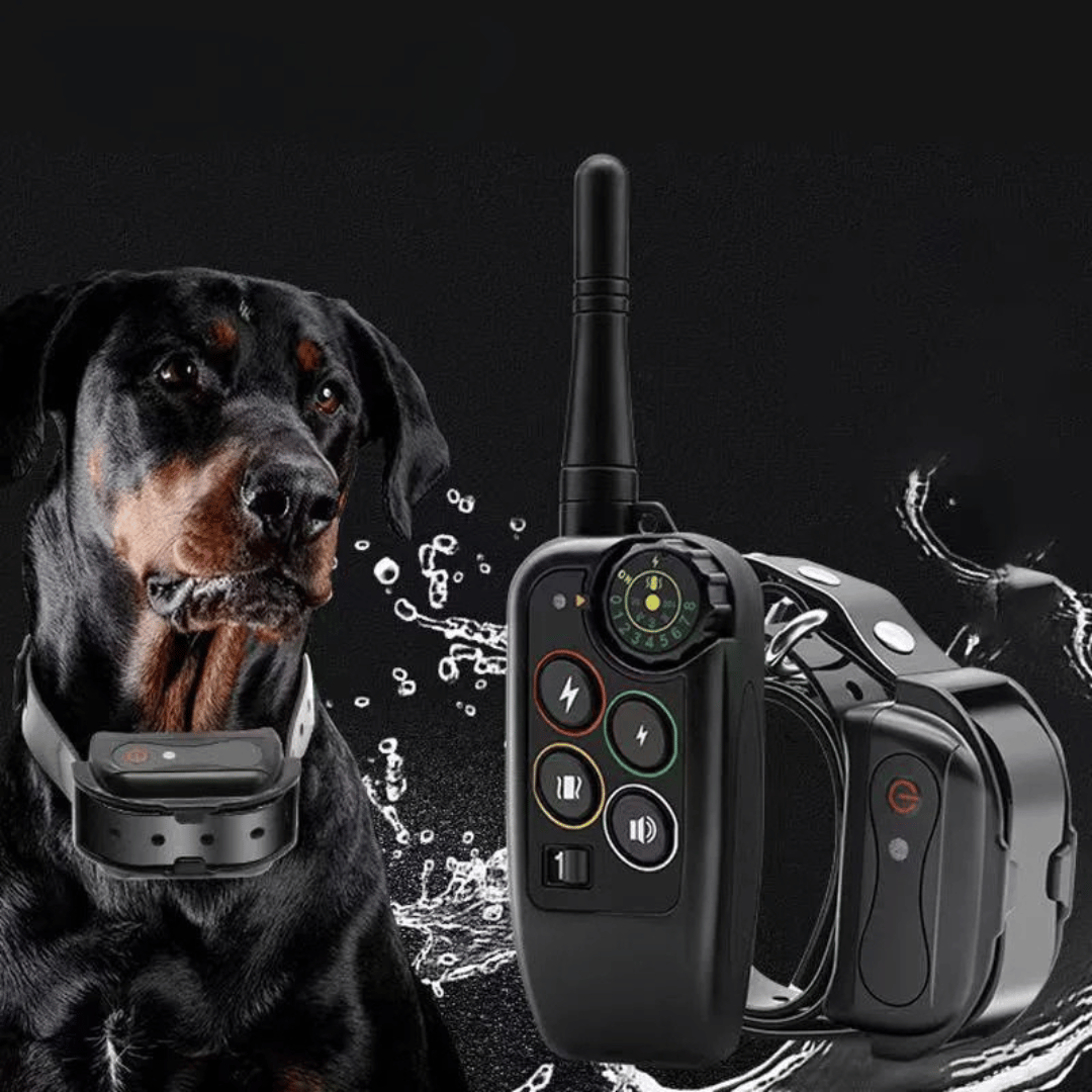 Collier Électronique pour Dressage de Chiens Imperméable à Longue Distance 1000m & Télécommande