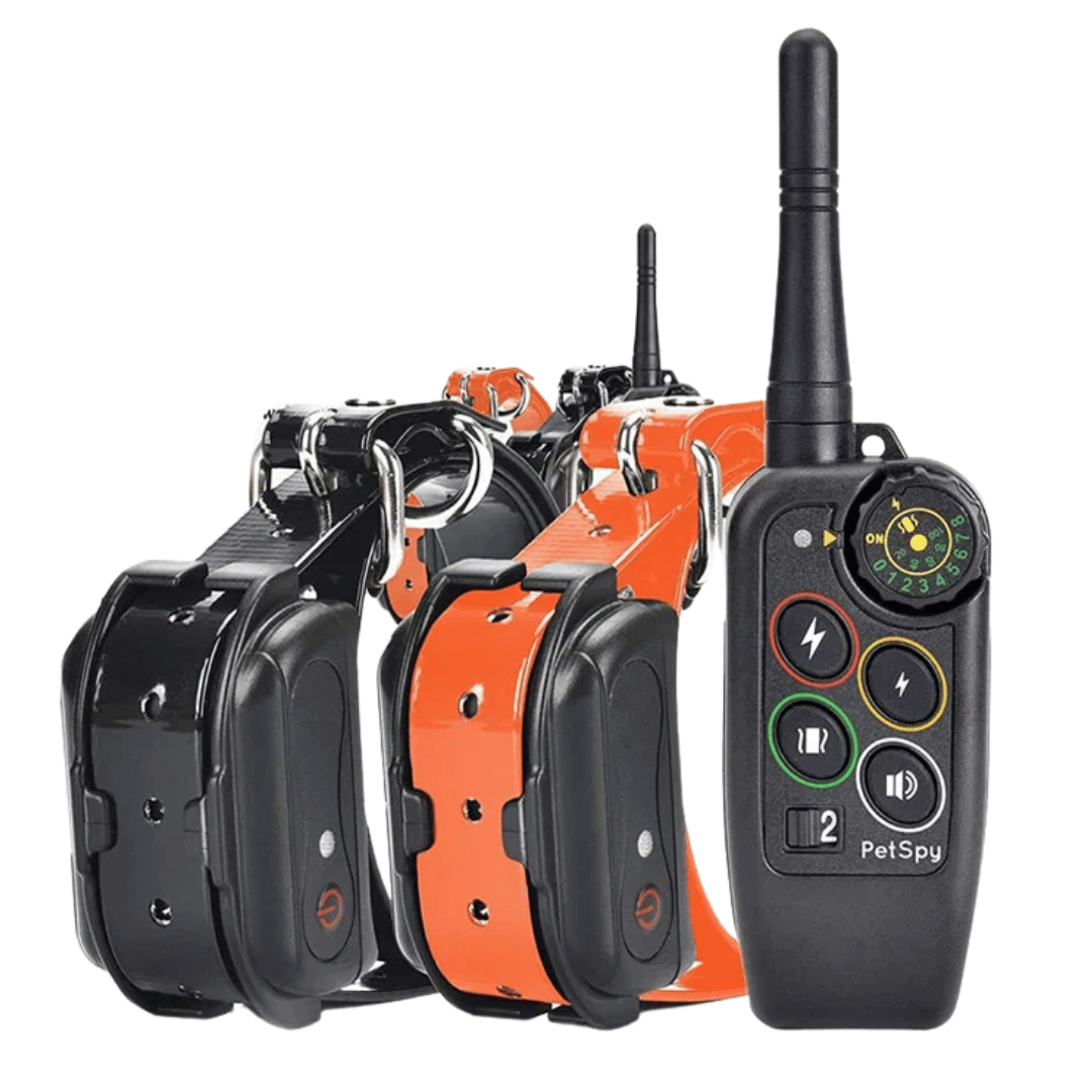 Collier Électronique pour Dressage de Chiens Imperméable à Longue Distance 1000m & Télécommande