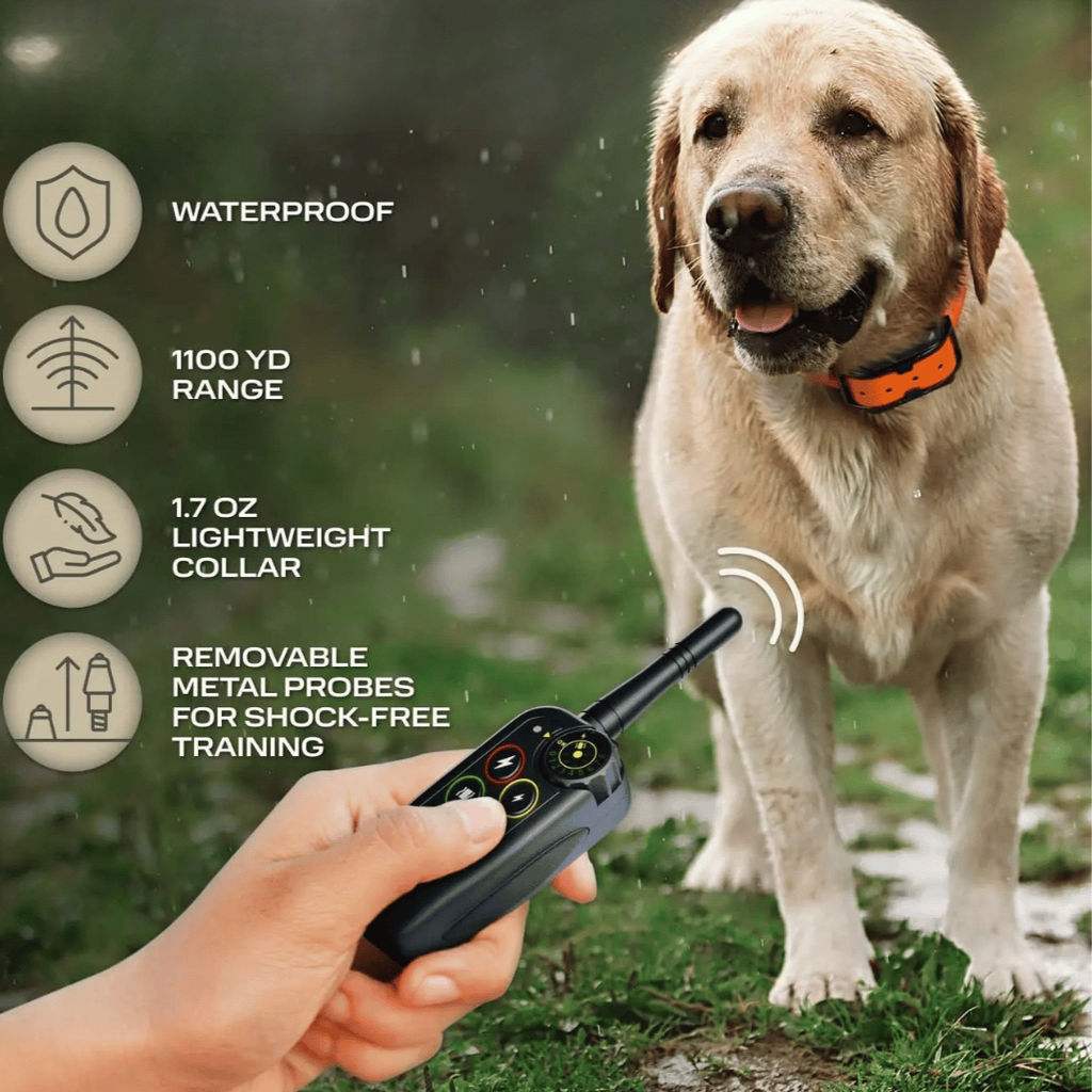 Collier Électronique pour Dressage de Chiens Imperméable à Longue Distance 1000m & Télécommande