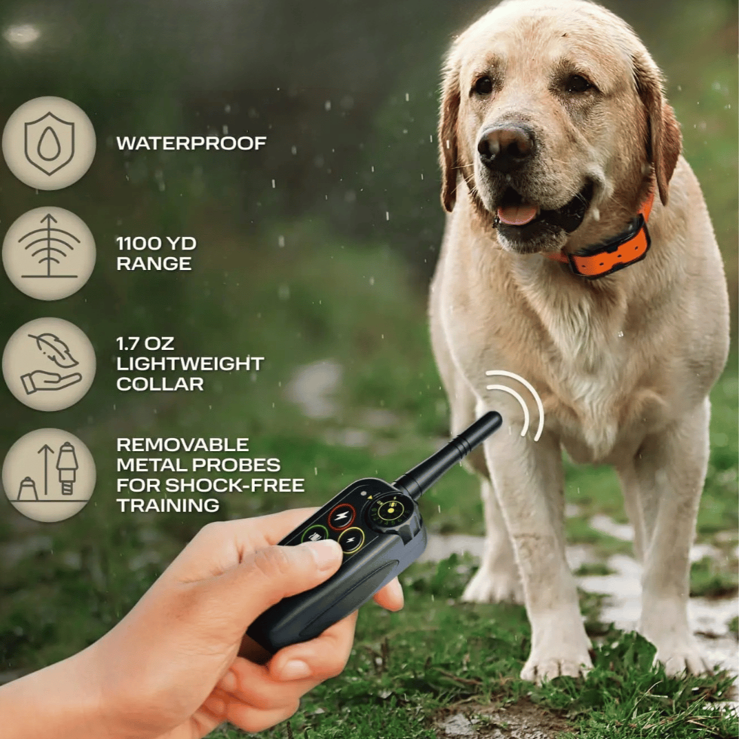 Collier Électronique pour Dressage de Chiens Imperméable à Longue Distance 1000m & Télécommande