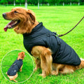 Veste d'Hiver Imperméable pour Chien avec Harnais Intégré